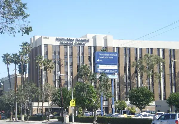Northridge, the city Plummer Park is in